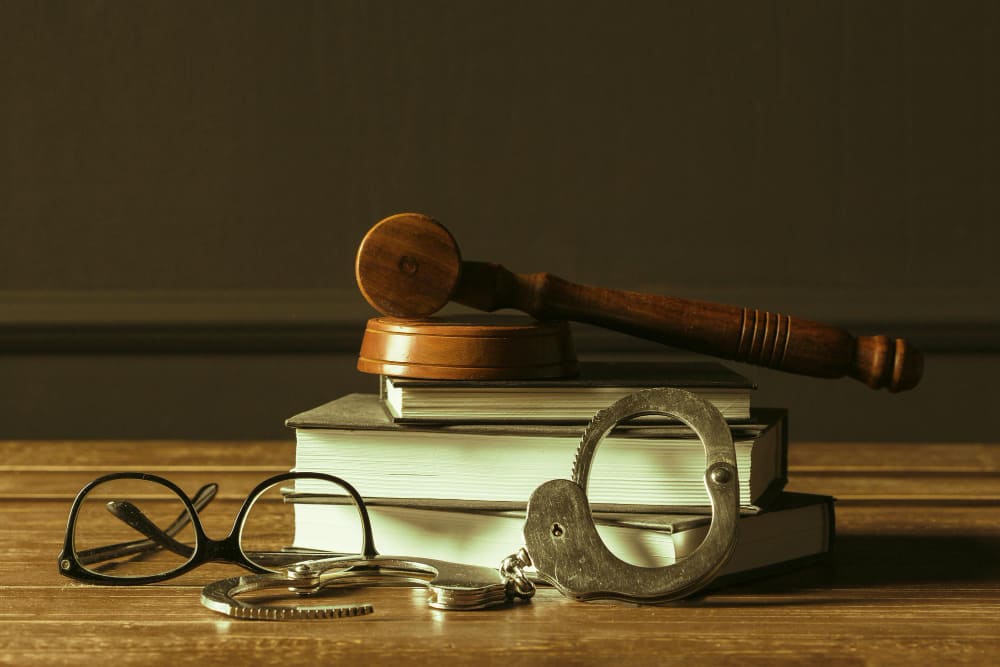 El derecho penal en la sociedad